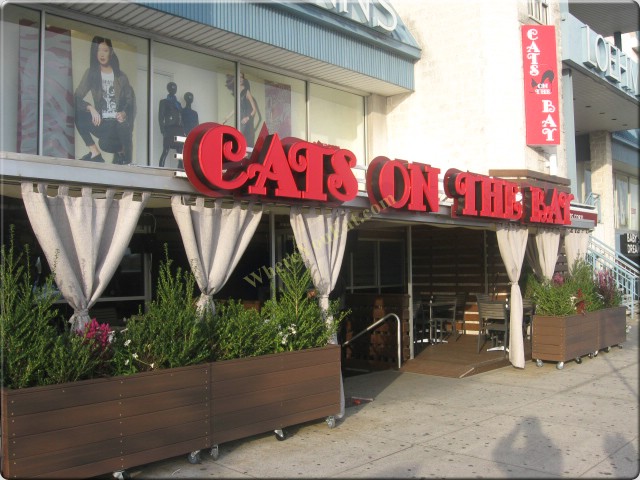 Cats On The Bay Restaurant in Brooklyn / Official Menus & Photos