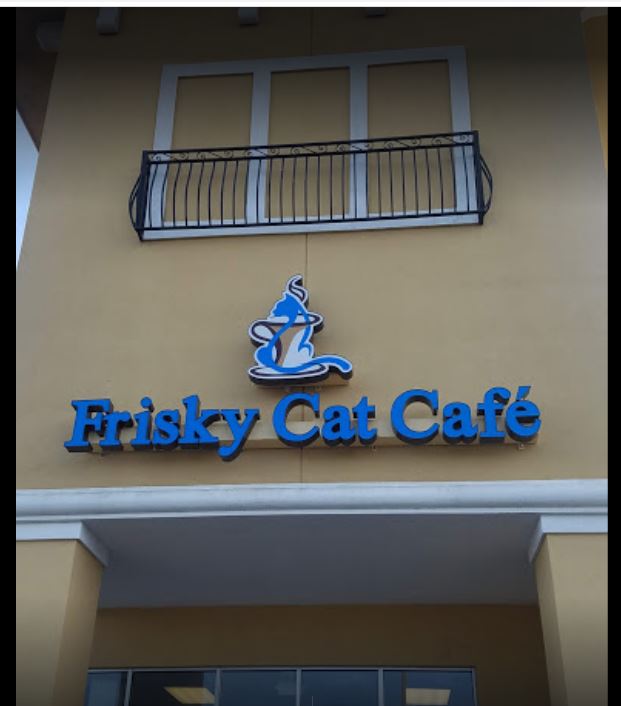 Frisky Cat Cafe