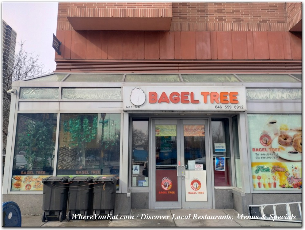 Bagel Tree