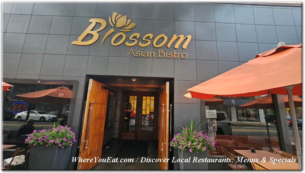 Blossom Asian Bistro