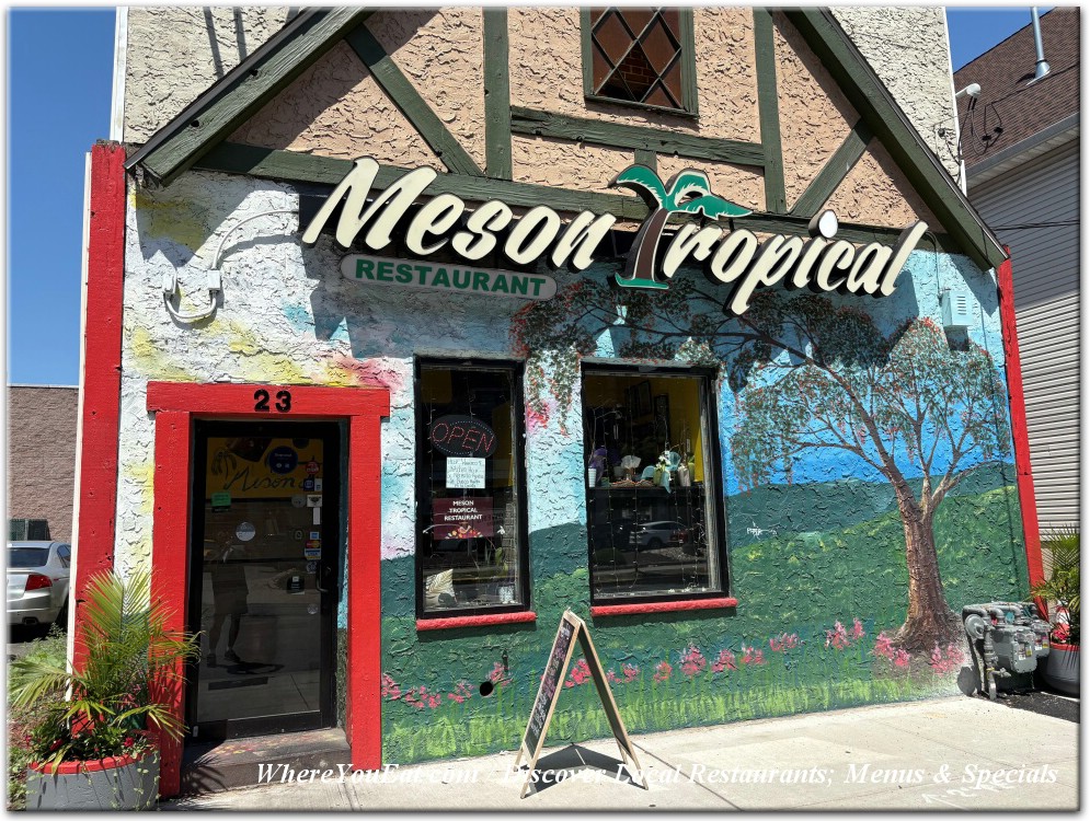 Meson Tropical