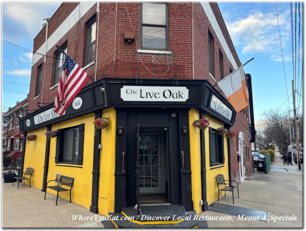 The Live Oak