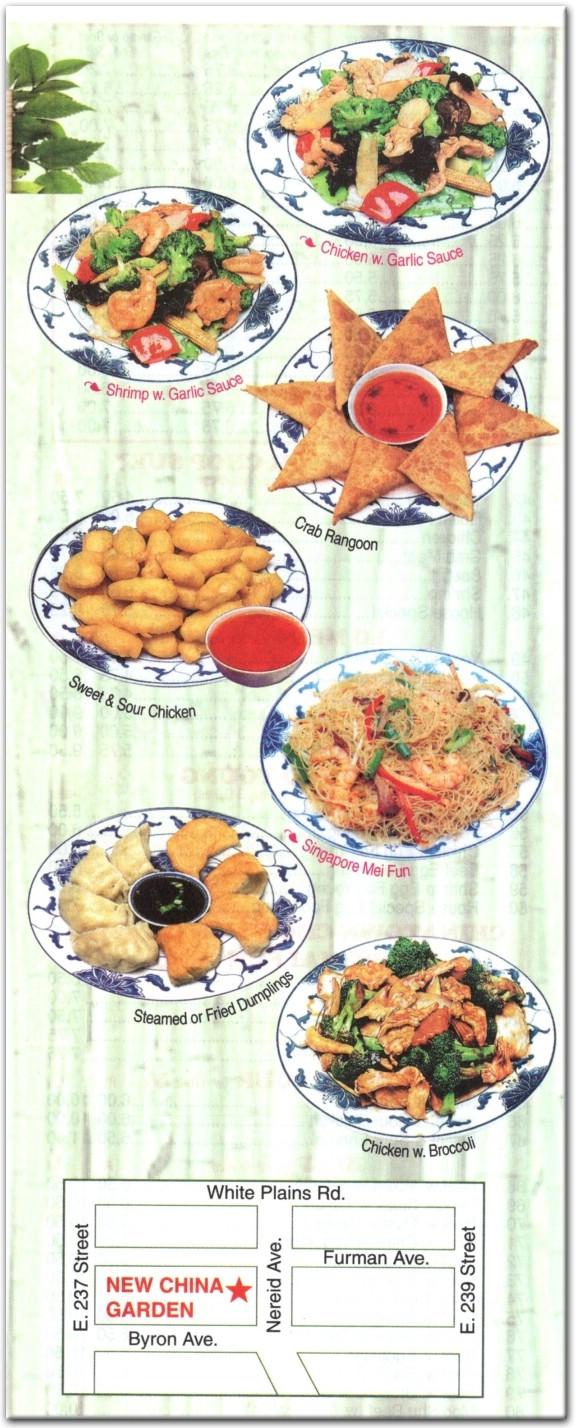 New China Garden Restaurant in The Bronx / Official Menus & Photos