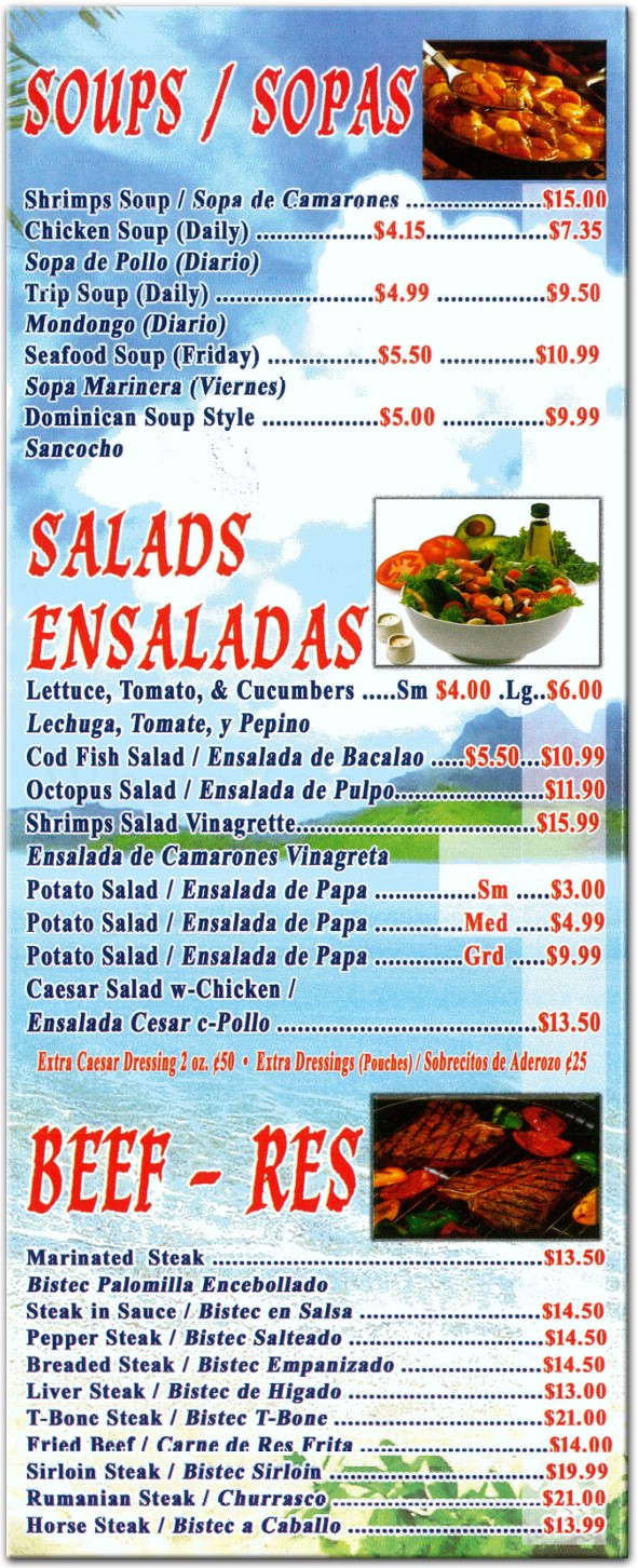 Brisas Express Restaurant In The Bronx   Menus & Photos