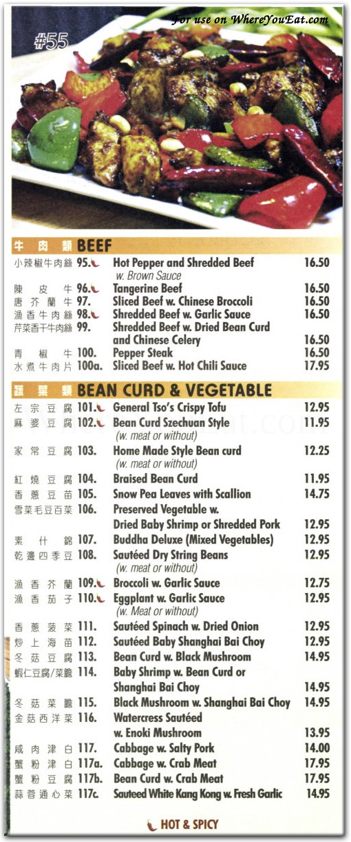 Shanghai Zhen Gong Fu Restaurant in Queens / Menus & Photos